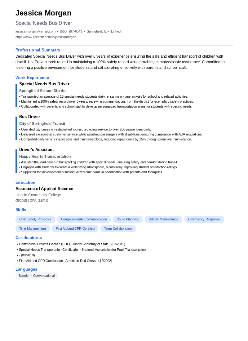 Special Needs Bus Driver Resume Example